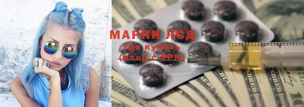 стафф Коряжма