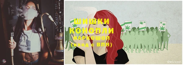 стаф Корсаков