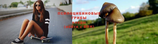 стафф Коряжма