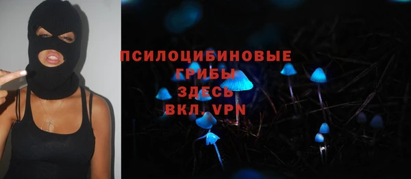 стафф Коряжма