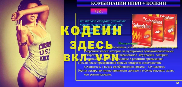 стаф Корсаков