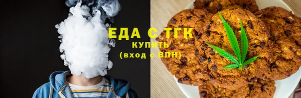 стаф Корсаков