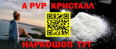 стафф Гай