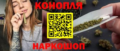 стафф Гай