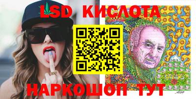 стафф Гай