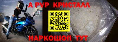 амф Гатчина