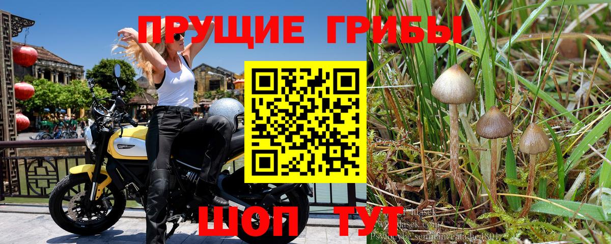Галлюциногенные грибы мухоморы  Псилоцибиновые грибы MAGIC MUSHROOMS  Фролово 