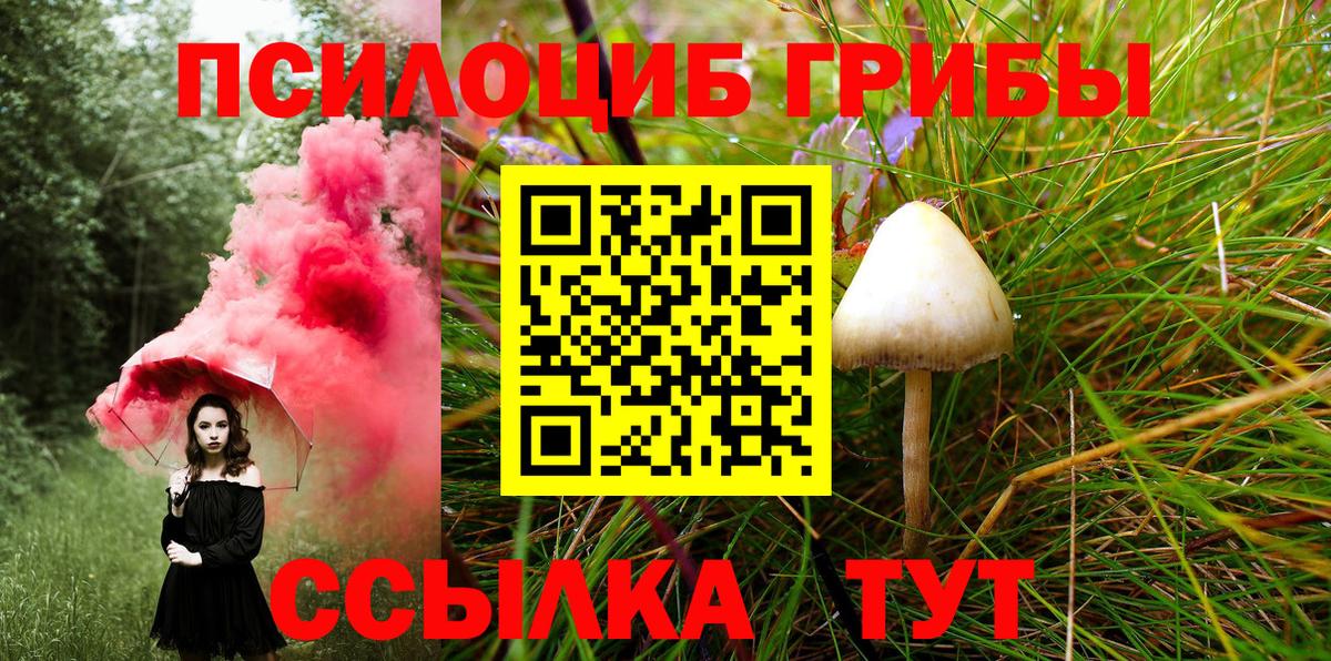 Галлюциногенные грибы MAGIC MUSHROOMS Фролово