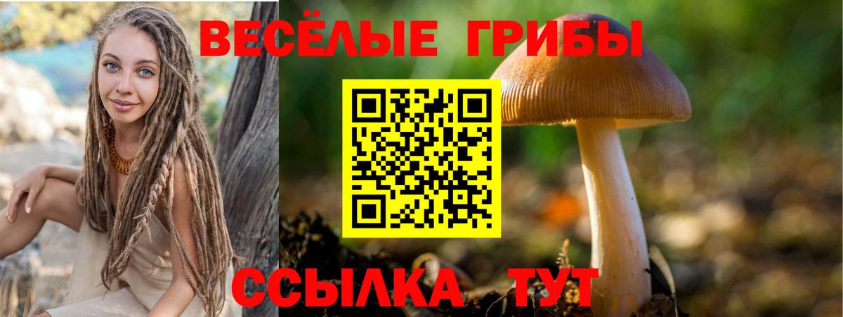 Галлюциногенные грибы Magic Shrooms  Вход с VPN  Фролово 